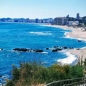 Near The Apartamento